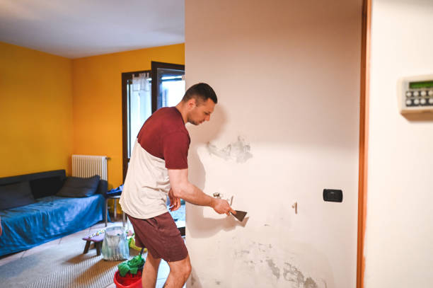 Best Insurance-Related Mold Remediation in Lakeland, GA